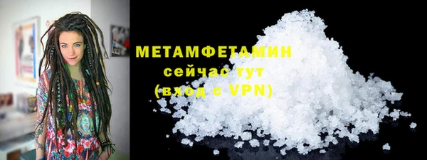 прущие грибы Коряжма
