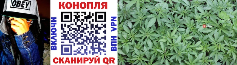 Конопля тримм Онега